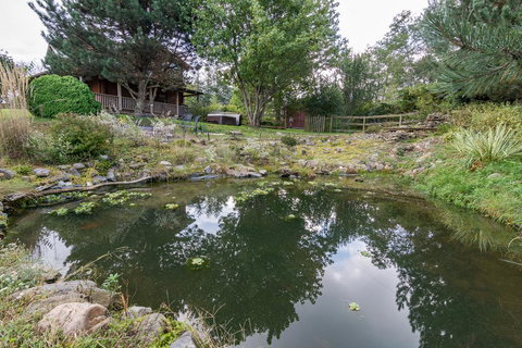 Glade Mountain Top Retreat Cabin - Click Find 9