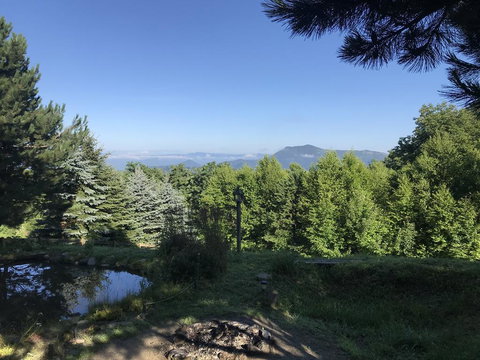 Glade Mountain Top Retreat Cabin - Click Find 6