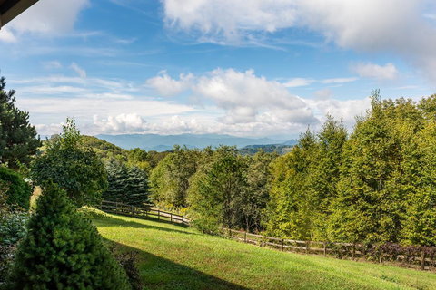 Glade Mountain Top Retreat Cabin - Click Find 1