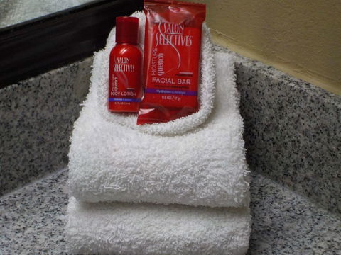 SureStay Hotel By Best Western Lenoir City - Bridge Guide 19