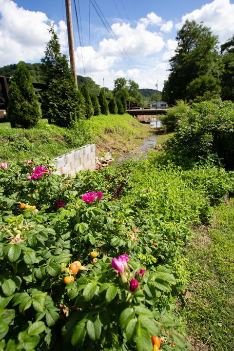 Country Cove - Click Find 18