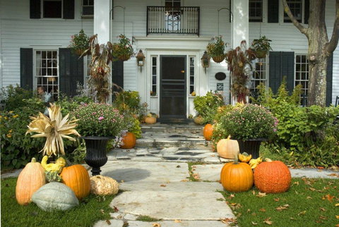 The Dorset Inn - Bet 4u 32