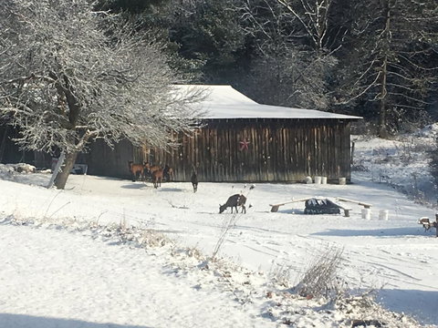 High Hill Inn - Bet 4u 27