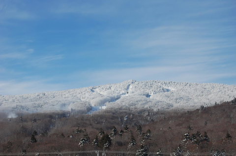 Sweet Life - Bet 4u 19