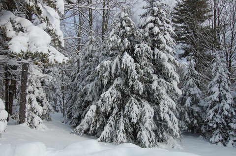 Sweet Life - Bet 4u 20