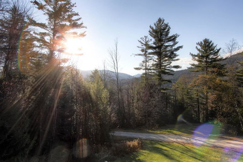 Sweet Life - Bet 4u 23