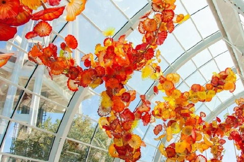 A-Seattle Urban Village- Lopez- Roof Top View Deck - Click Find 8