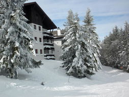 Book Snowshoe Accommodation Vacations Bridge Guide Bridge Guide