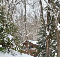 Hauser's Bayfield Cabin
