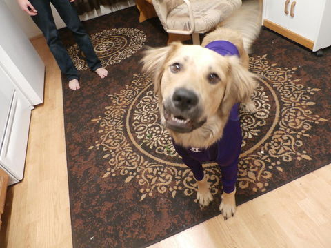 Sage And Sand Motel - Bet 4u 27