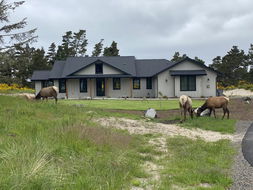 Book Warrenton Accommodation Vacations Bridge Guide Bridge Guide