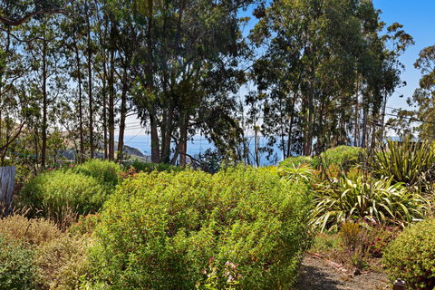 Albion Ocean House - Bet 4u 2