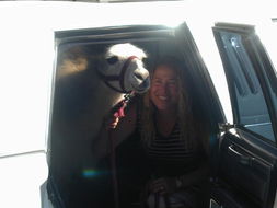 Book Fort Bragg Accommodation Vacations Bridge Guide Bridge Guide