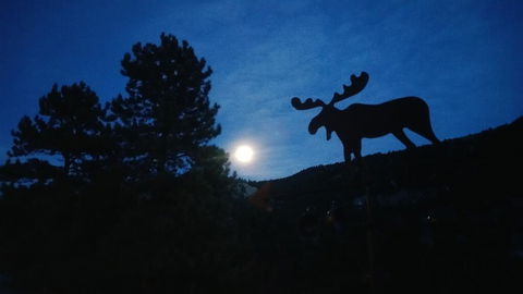 Alpine Moose Lodge - Click Find 2