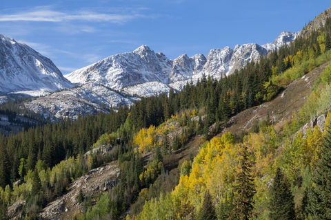 Amazing Walkable Locale Condo Unit 313 Condo - Bridge Guide 1