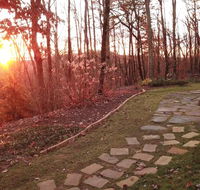 Barefoot Hills