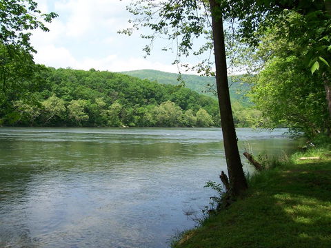 Bear Bluff - Click Find 1