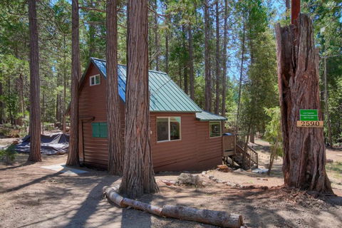 BeetleBark Bungalow - Bridge Guide 2