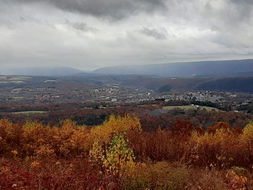 Book Weissport Accommodation Vacations Bridge Guide Bridge Guide