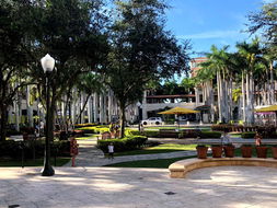 Book Coral Gables Accommodation Vacations Click Find Click Find