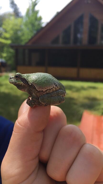 Hidden Forest Retreat - Bet 4u 3