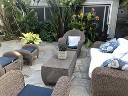 Book Mill Valley Accommodation Vacations Bet 4u Bet 4u