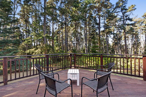 Little River Retreat - Bet 4u 3