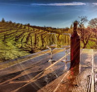 Papillon Cellars - The Loft