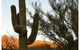 Queen Creek Private 2 Bedroom Guest Suite - thumb 3