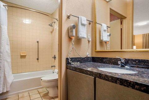 Econo Lodge Inn & Suites Foley - Click Find 16