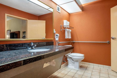 Econo Lodge Inn & Suites Foley - Click Find 23