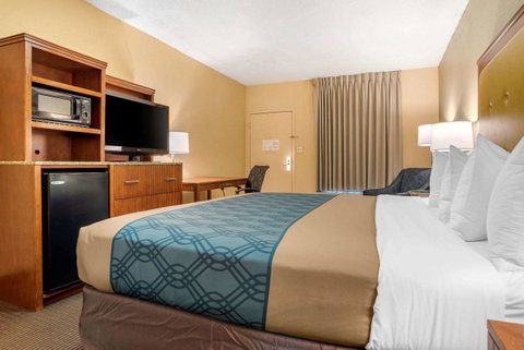 Econo Lodge Inn & Suites Foley - Click Find 22