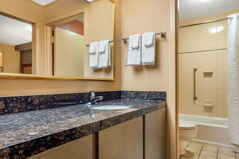 Econo Lodge Inn & Suites Foley - Click Find 6