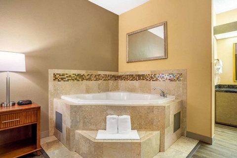 Econo Lodge Inn & Suites Foley - Click Find 33