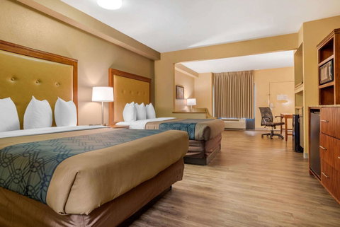 Econo Lodge Inn & Suites Foley - Click Find 43