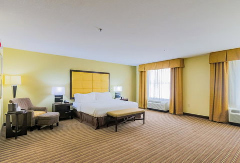 Holiday Inn Mobile Airport - Click Find 19