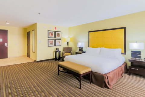 Holiday Inn Mobile Airport - Click Find 18