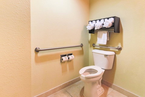 Holiday Inn Mobile Airport - Click Find 21
