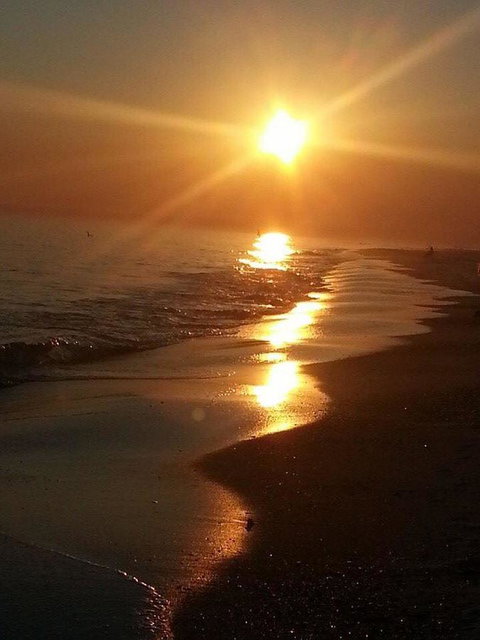 The Original Romar House Bed And Breakfast Inn - Bet 4u 3