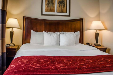 Comfort Suites North Mobile - Bet 4u 6