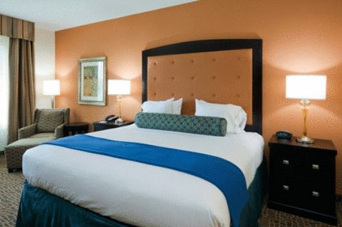 Holiday Inn Express Hotel & Suites Mobile Saraland - Bet 4u 20