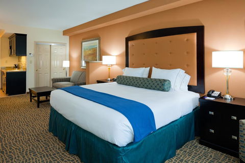 Holiday Inn Express Hotel & Suites Mobile Saraland - Bet 4u 3