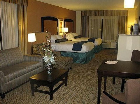 Holiday Inn Express Hotel & Suites Mobile Saraland - Bet 4u 16