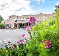 Wedgewood Resort