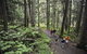 Alyeska Resort - thumb 19