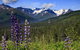 Alyeska Resort - thumb 2