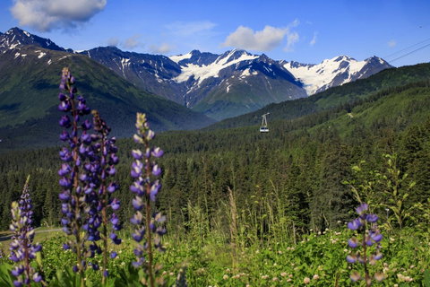 Alyeska Resort - Click Find 2