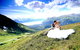 Alyeska Resort - thumb 21