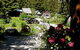 Carriage House Accommodations - thumb 11