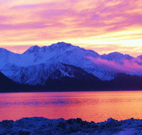 Arctic Paradise BB